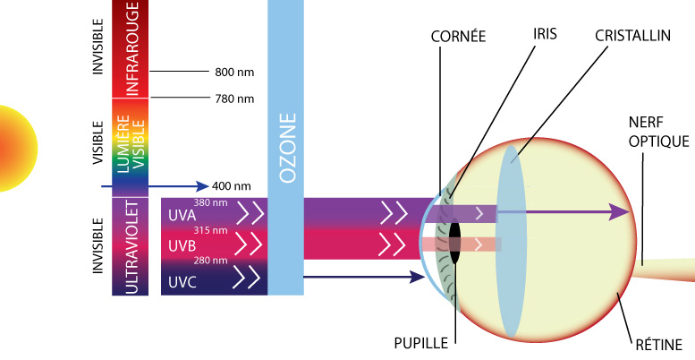 Protections oculaires contre les UV